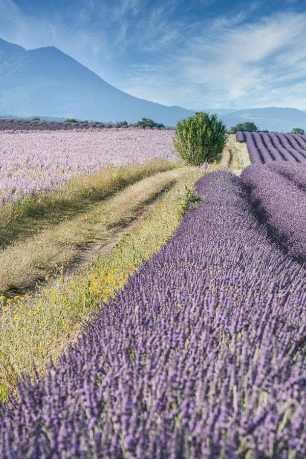Gite Le Val Zen Valaurie - Drome Provencale Exterior foto